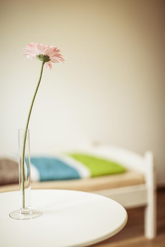 Ferienwohnung Artus